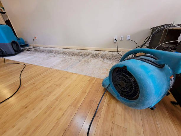 Professional Structural Drying technician working in Dayton, NV